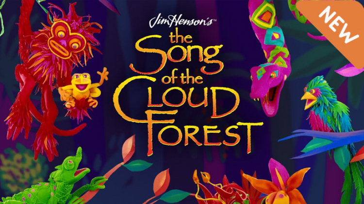 THE SONG OF THE CLOUD FOREST